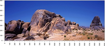 priroda_105.jpg