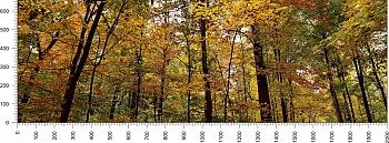 priroda_112.jpg