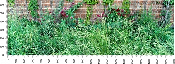 priroda_113.jpg