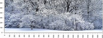priroda_114.jpg