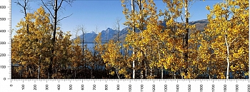 priroda_115.jpg