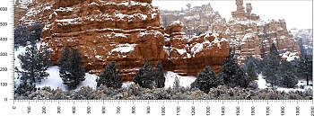 priroda_118.jpg