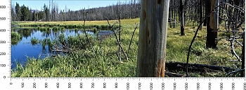 priroda_119.jpg
