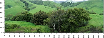priroda_120.jpg