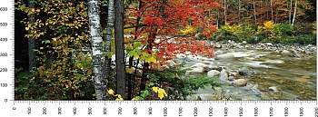 priroda_123.jpg