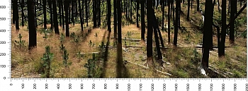 priroda_127.jpg