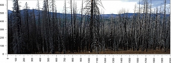 priroda_128.jpg