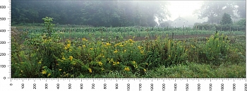 priroda_135.jpg
