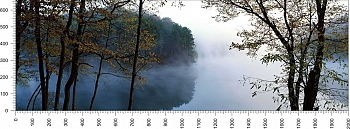 priroda_136.jpg