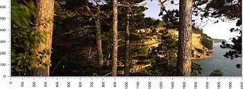 priroda_137.jpg
