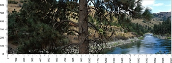 priroda_138.jpg