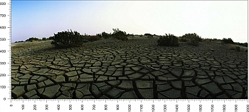 priroda_14.jpg