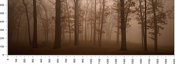 priroda_144.jpg