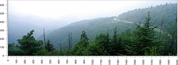 priroda_145.jpg