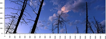 priroda_146.jpg