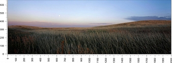 priroda_151.jpg