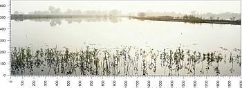 priroda_157.jpg
