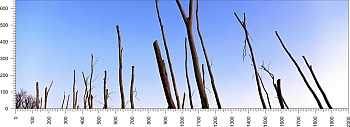 priroda_159.jpg