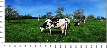 priroda_16.jpg