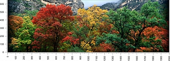 priroda_172.jpg