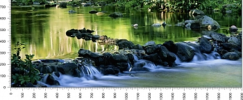 priroda_179.jpg