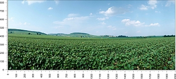 priroda_3.jpg