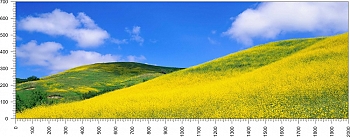 priroda_53.jpg