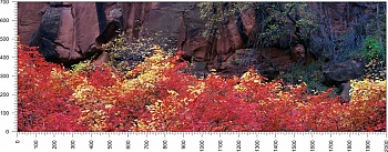 priroda_55.jpg