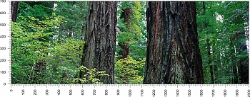 priroda_57.jpg