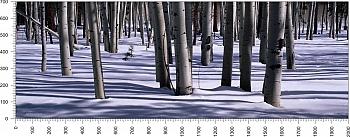 priroda_58.jpg