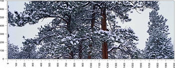 priroda_59.jpg
