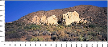 priroda_78.jpg