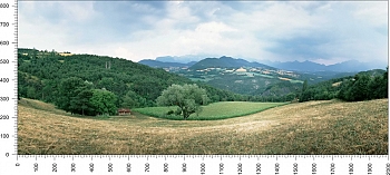 priroda_8.jpg