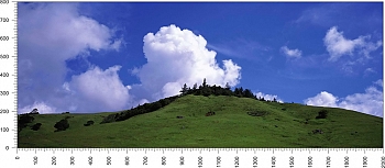 priroda_85.jpg