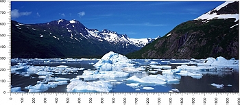 priroda_88.jpg