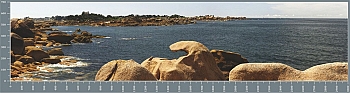 sg1193.jpg