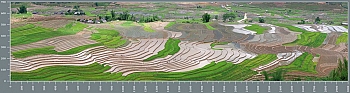 sg1205.jpg