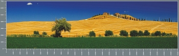 sgP0137.jpg