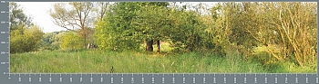 sgP0169.jpg