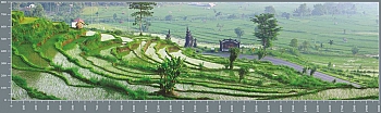 sgP0190.jpg
