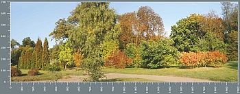 sgP0198.jpg