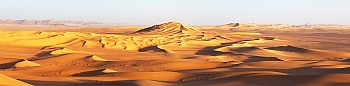 ssp72.jpg
