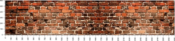 0150_1.jpg