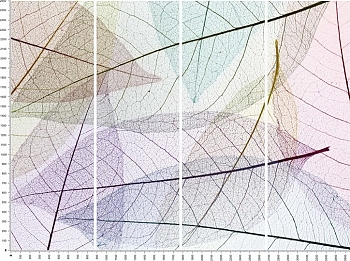 C0017.jpg