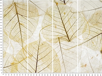 C0025.jpg