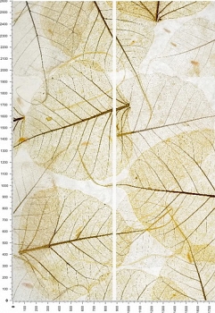 C0026.jpg