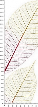 C0027.jpg
