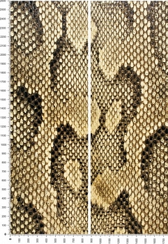 C0032.jpg