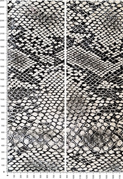 C0033.jpg