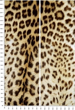 C0034.jpg
